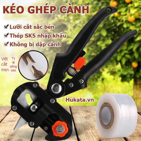 keo ghep canh 1