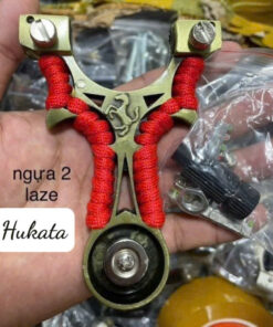 ngua 2