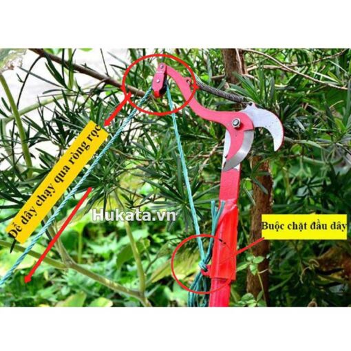 keo cat canh tren cao 5