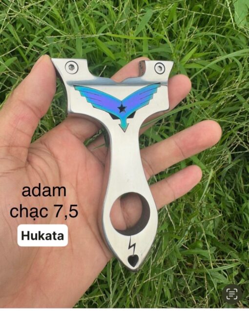 adam.jpg