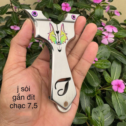 T soi nam cham