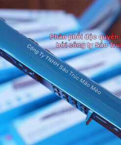 sao dien tu s300 tieng viet 3