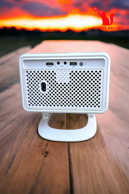 may chieu mini 2