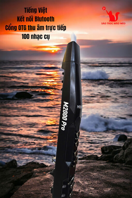 sao dien tu M2000 4
